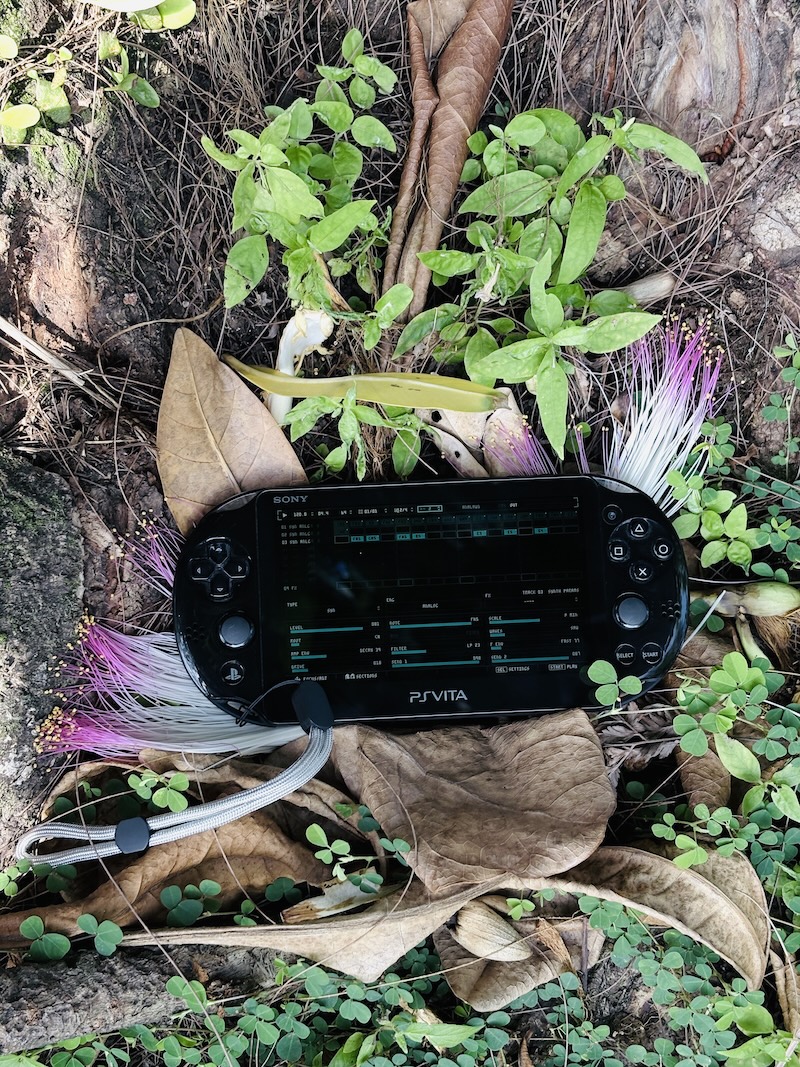 DS-8 on a PS Vita in hand